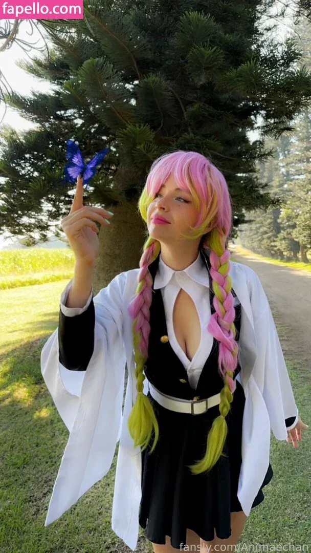 Animaechan Onlyfans Photo Gallery 