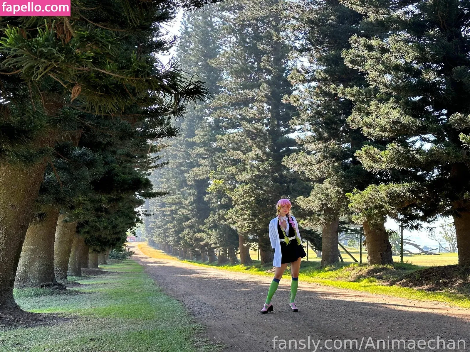 Animaechan Onlyfans Photo Gallery 