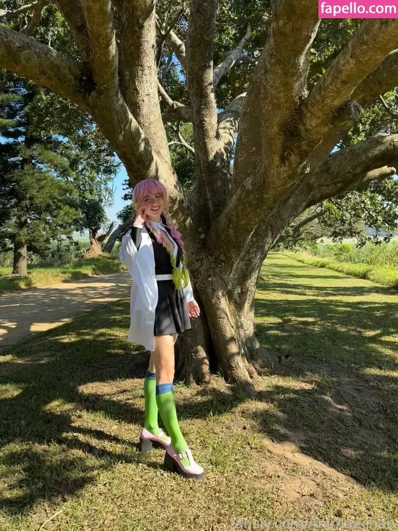 Animaechan Onlyfans Photo Gallery 