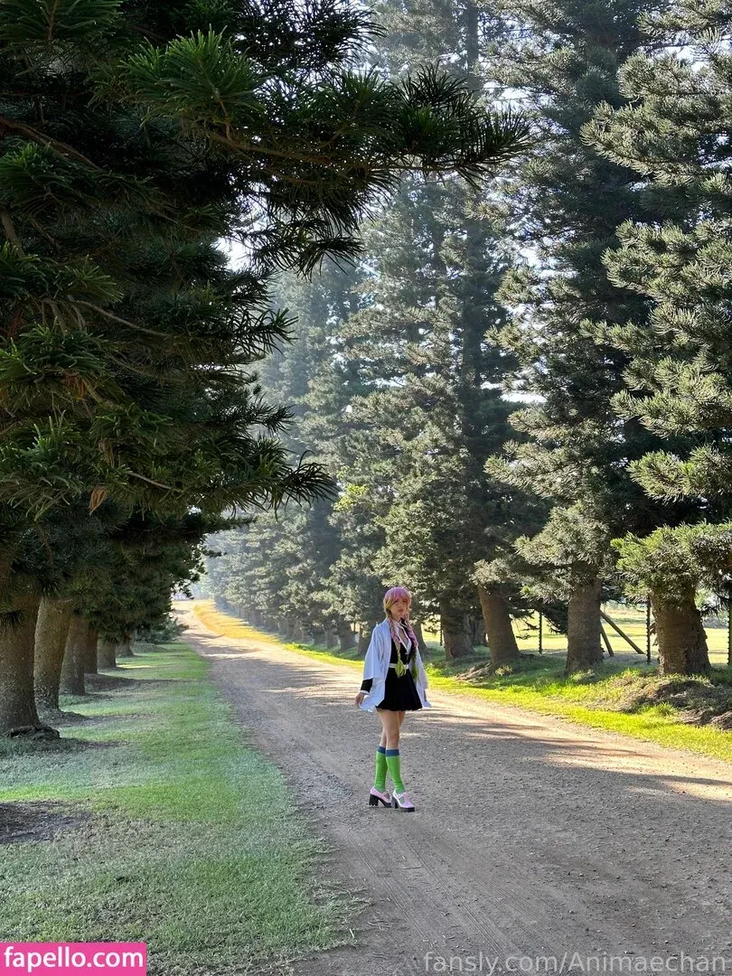 Animaechan Onlyfans Photo Gallery 