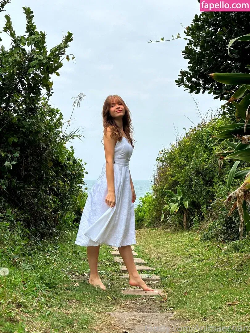 Animaechan Onlyfans Photo Gallery 