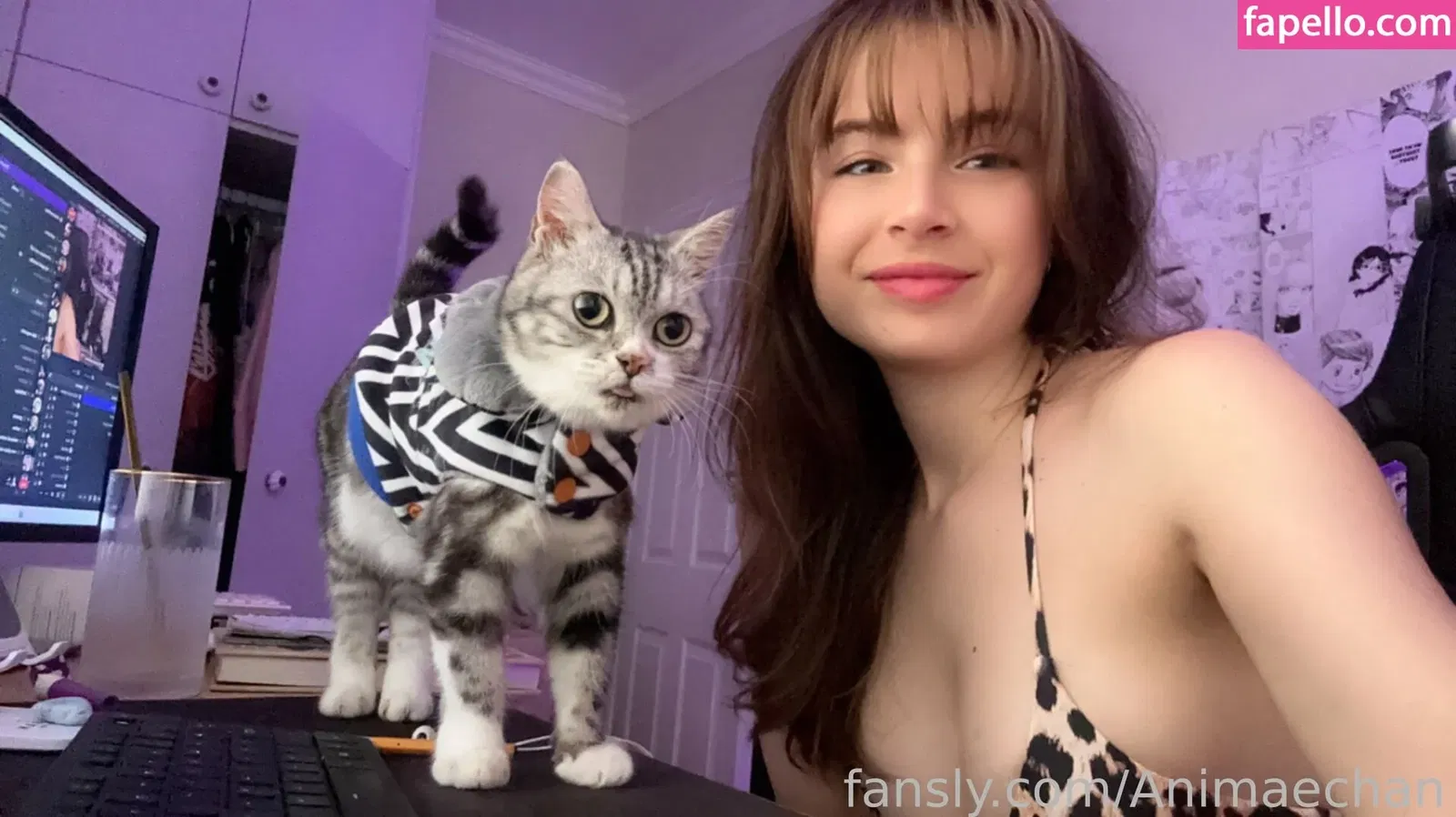 Animaechan Onlyfans Photo Gallery 