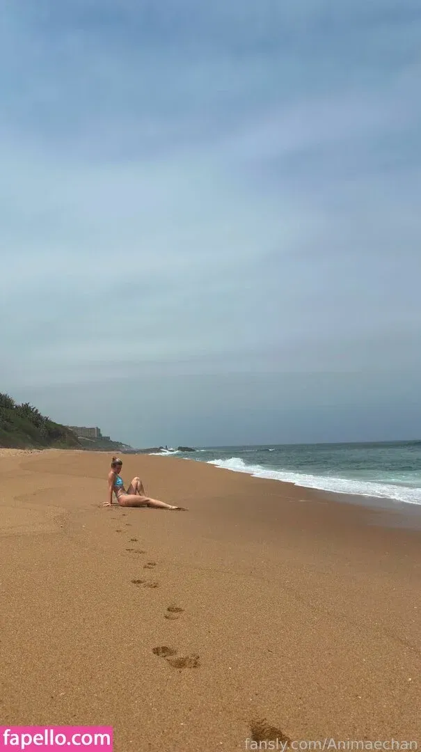 Animaechan Onlyfans Photo Gallery 