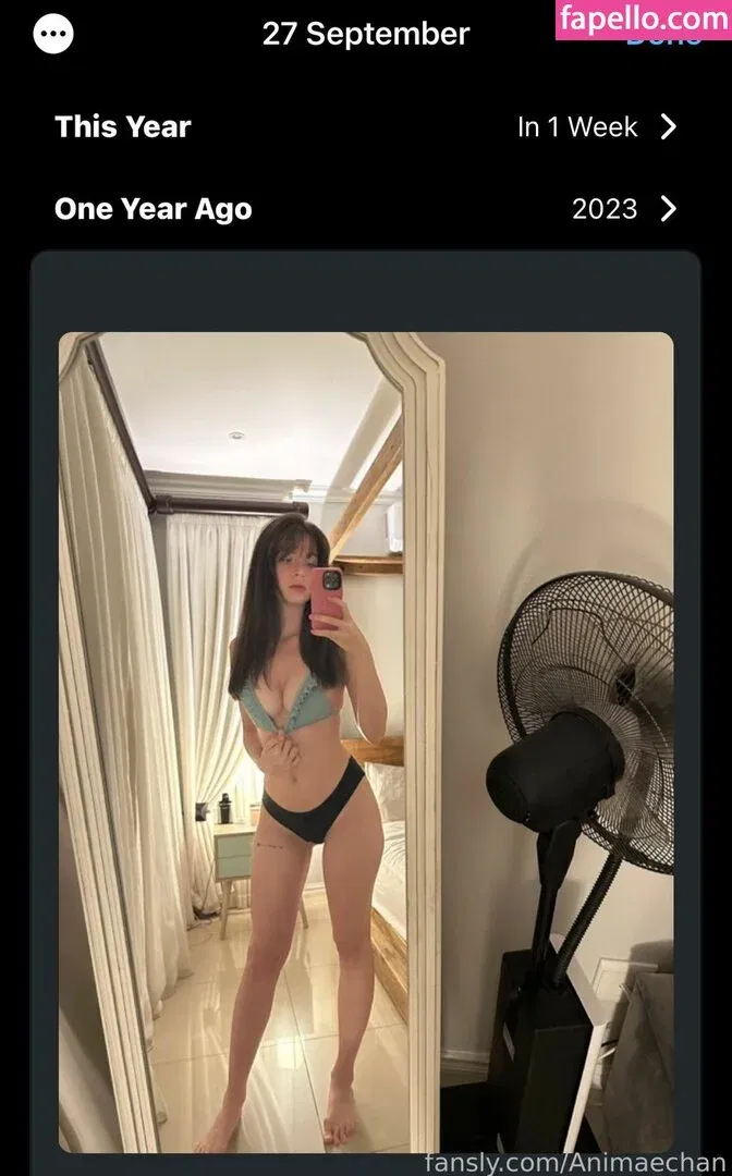 Animaechan Onlyfans Photo Gallery 