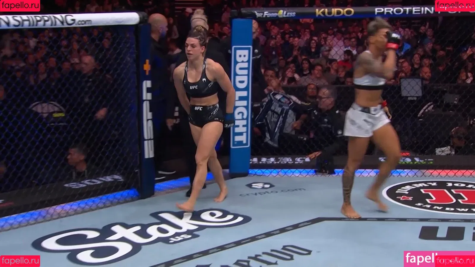 Women In MMA Onlyfans Photo Gallery 