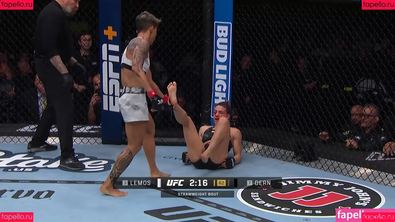 Women In MMA Onlyfans Photo Gallery 