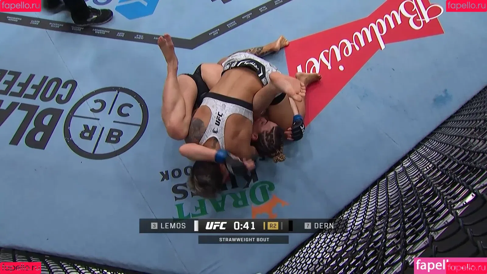 Women In MMA Onlyfans Photo Gallery 