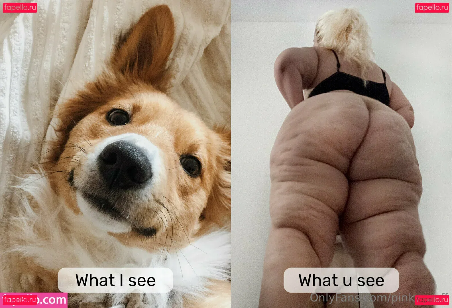 pinky_puff Onlyfans Photo Gallery 