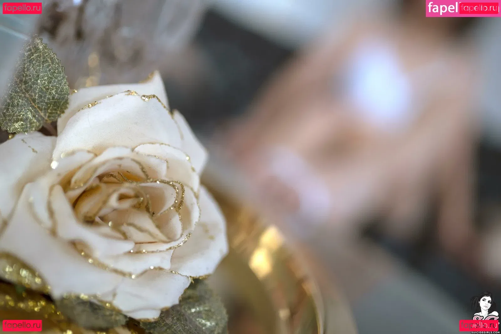 xocosg Onlyfans Photo Gallery 