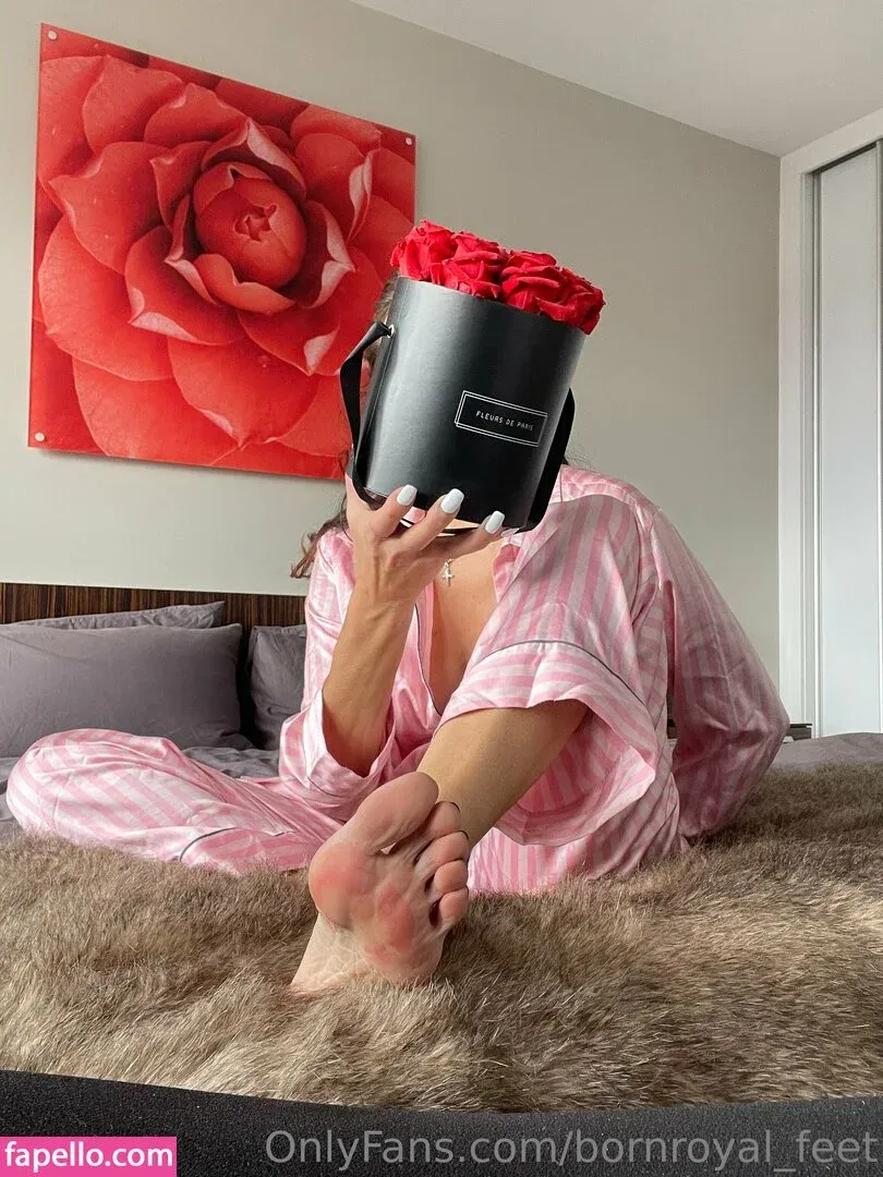 bornroyal_feet Onlyfans Photo Gallery 