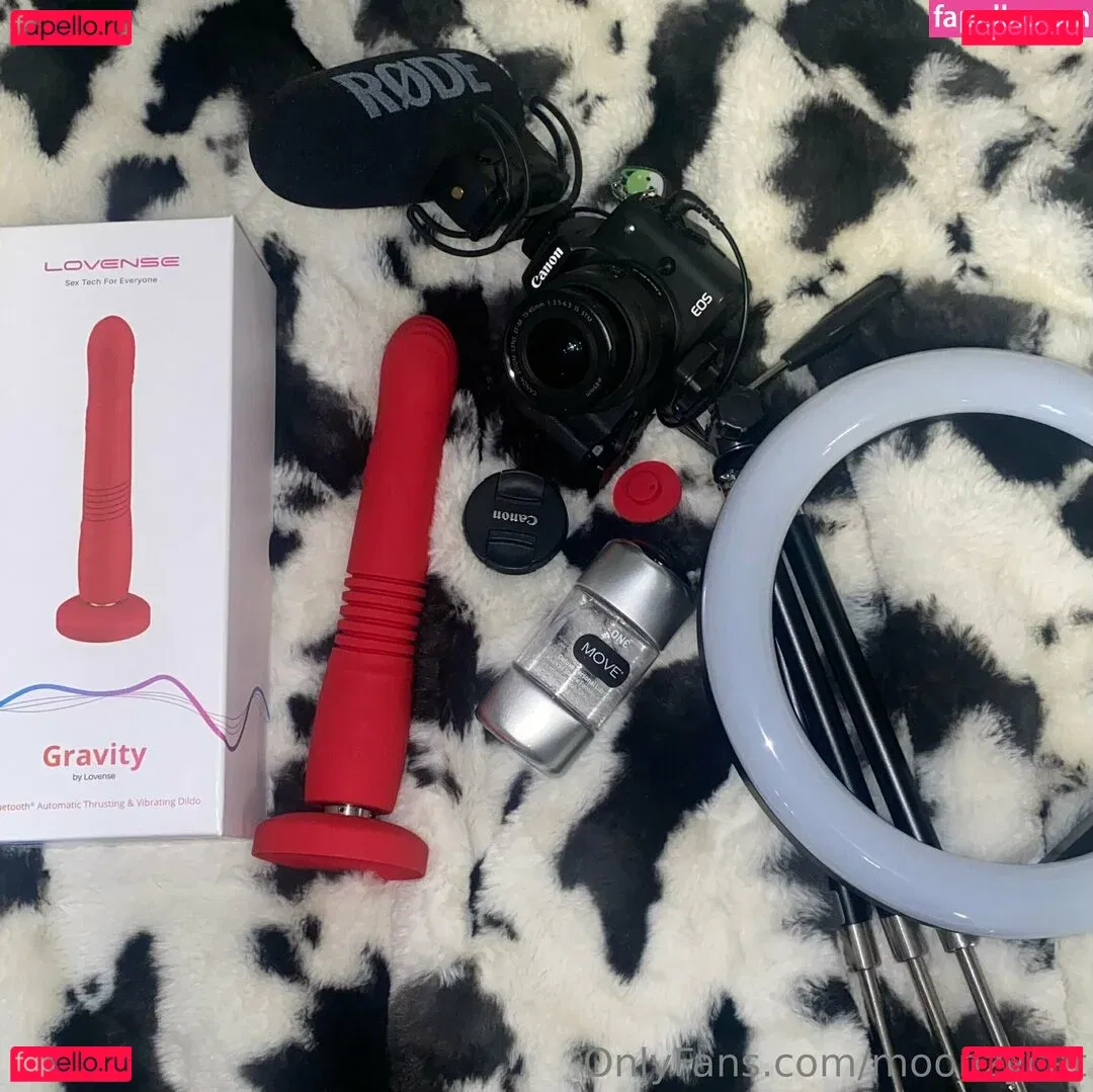 Moonzycat Onlyfans Photo Gallery 