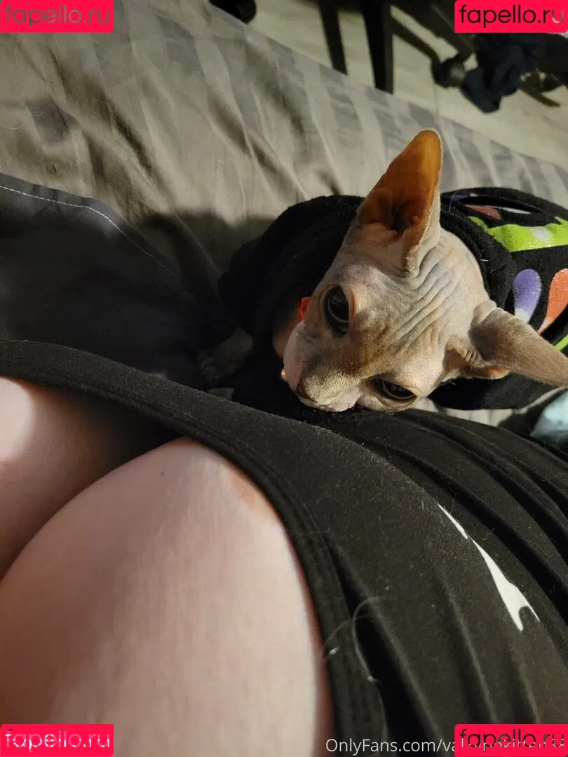 valkyriekitten88 Onlyfans Photo Gallery 