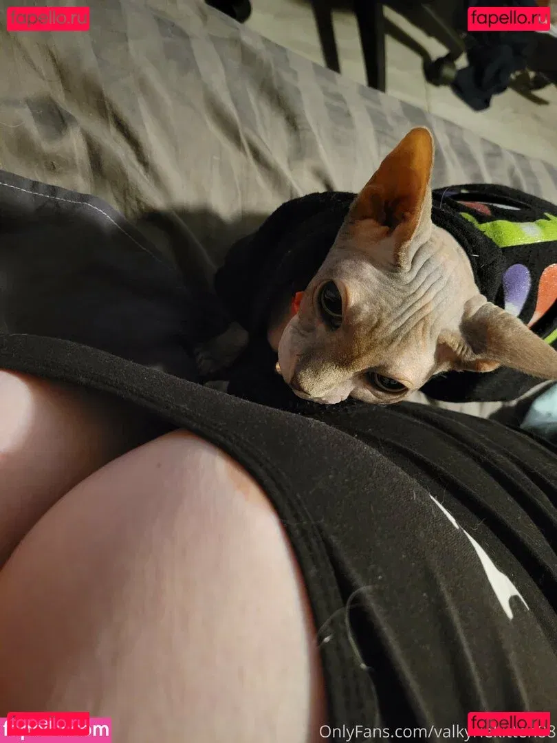 valkyriekitten88 Onlyfans Photo Gallery 