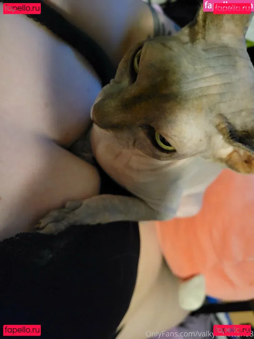 valkyriekitten88 Onlyfans Photo Gallery 