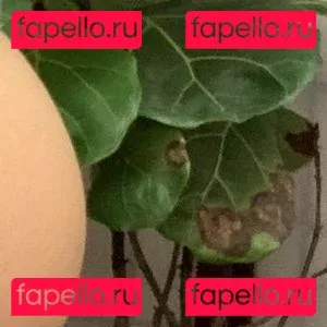 glassesgf Onlyfans Photo Gallery 