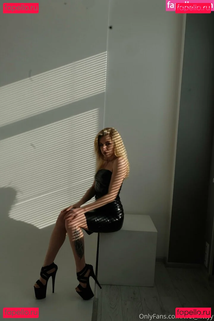 wet_kittyy_ukraine Onlyfans Photo Gallery 