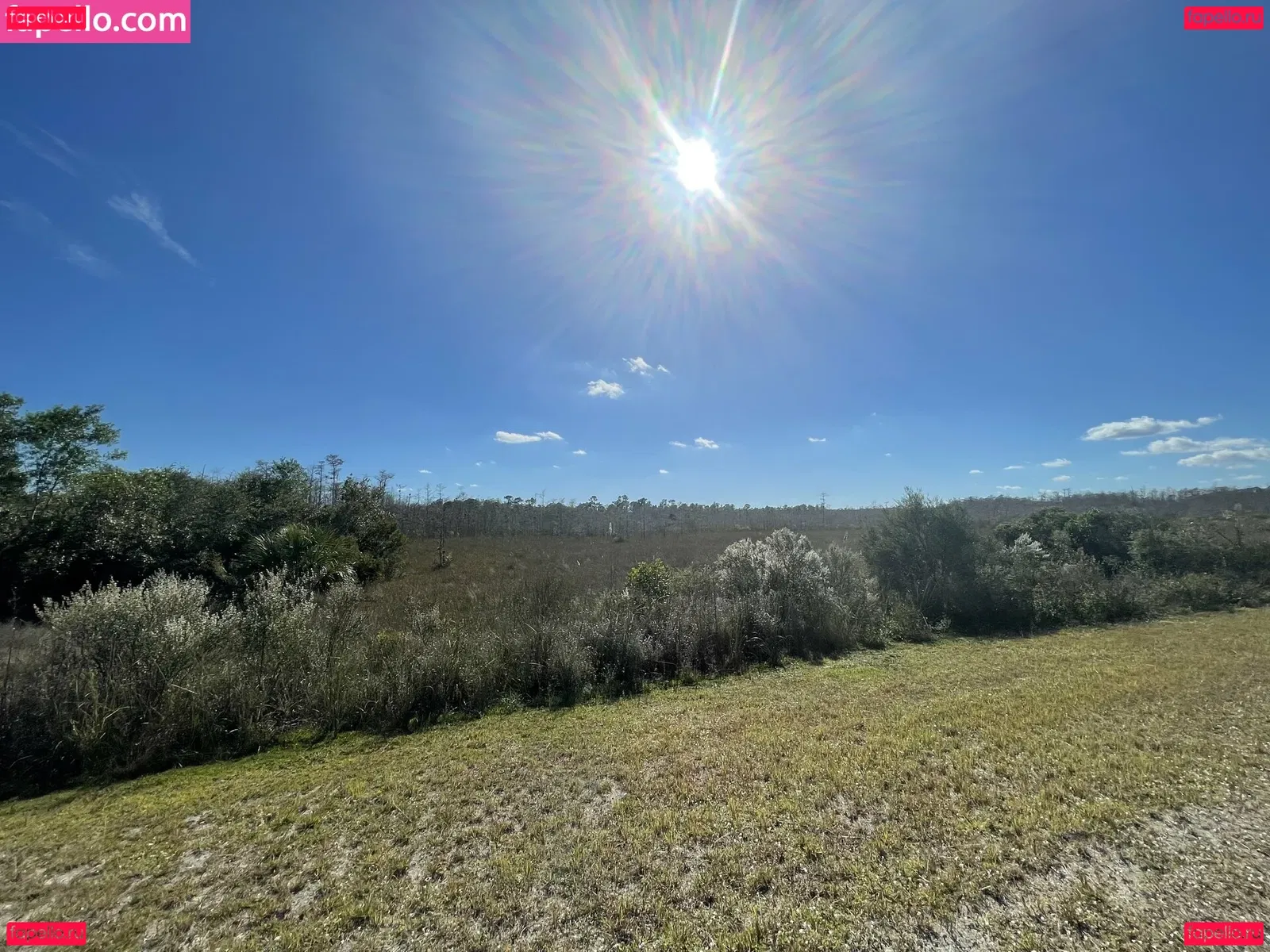 iambigduch Onlyfans Photo Gallery 