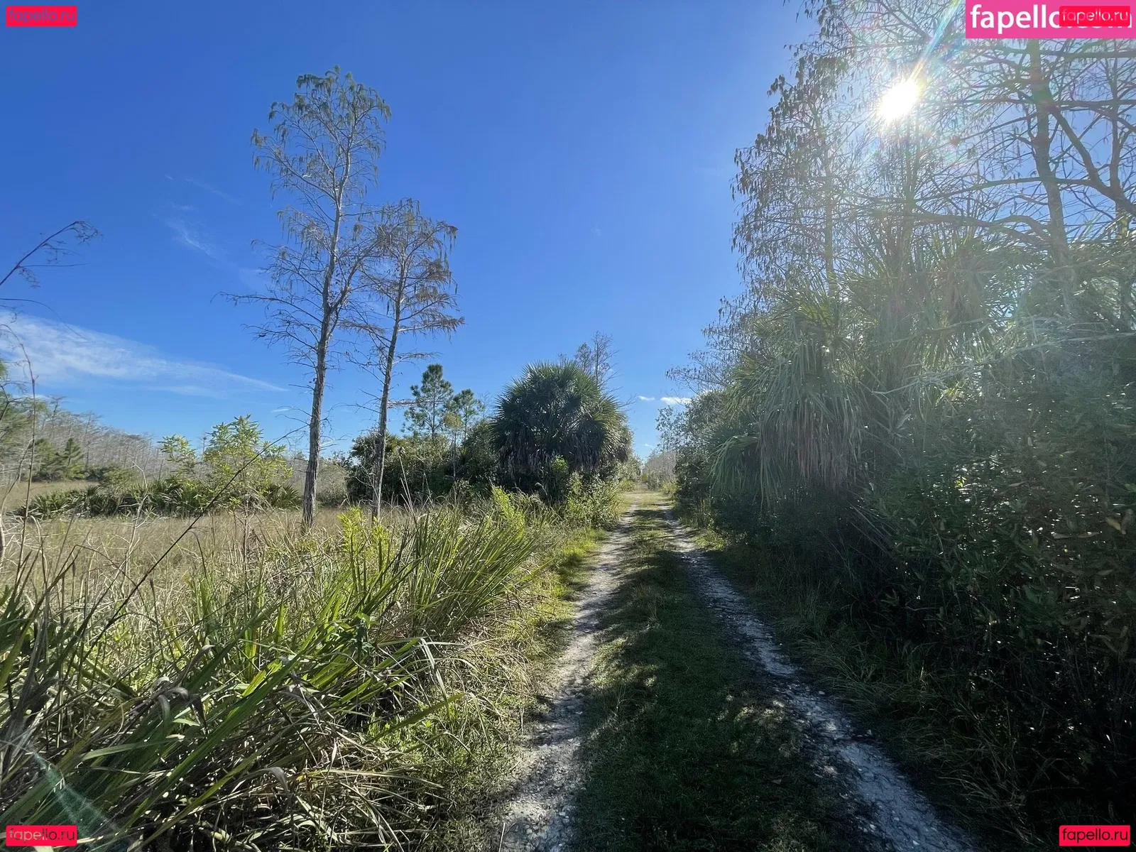 iambigduch Onlyfans Photo Gallery 