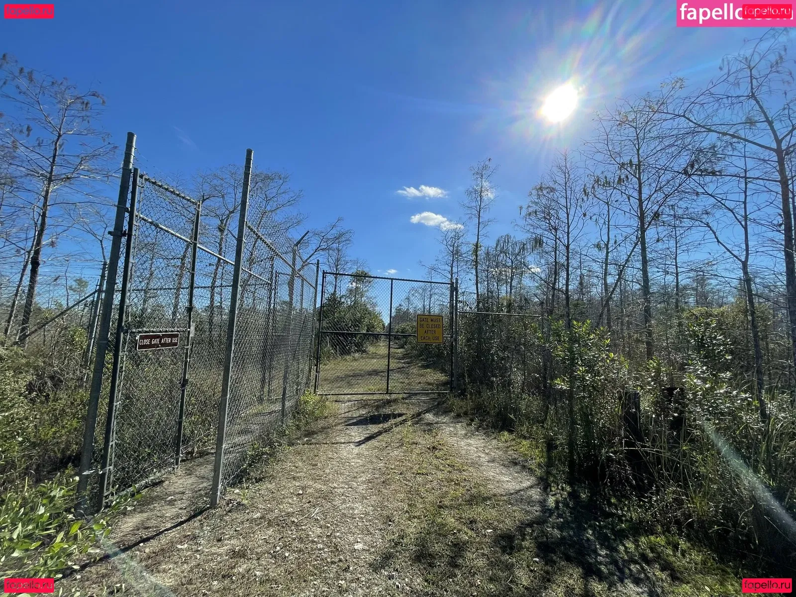 iambigduch Onlyfans Photo Gallery 