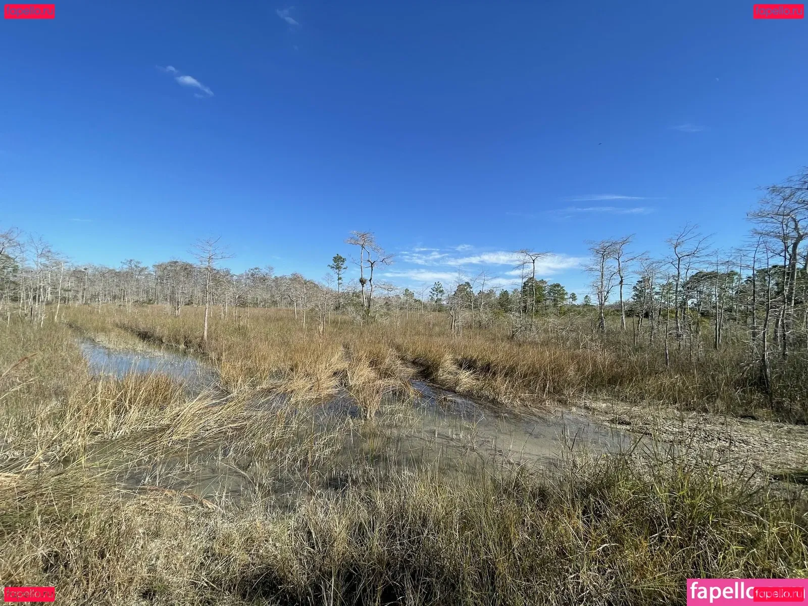 iambigduch Onlyfans Photo Gallery 