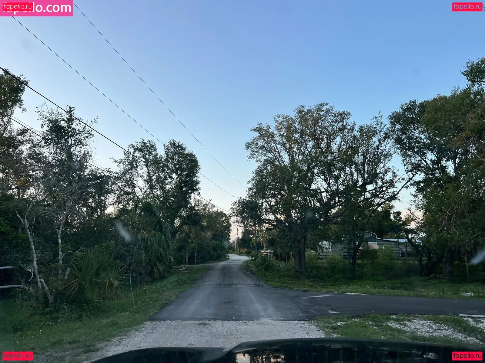 iambigduch Onlyfans Photo Gallery 