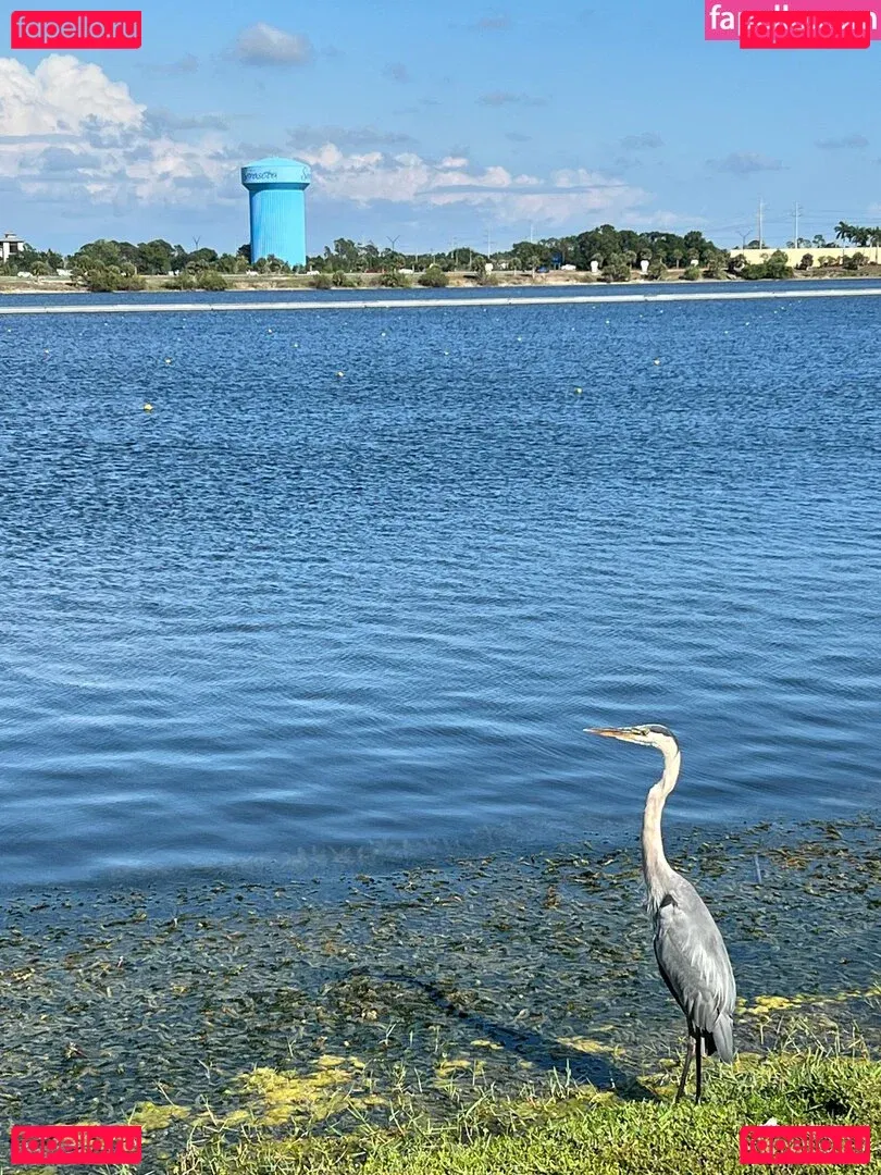 iambigduch Onlyfans Photo Gallery 