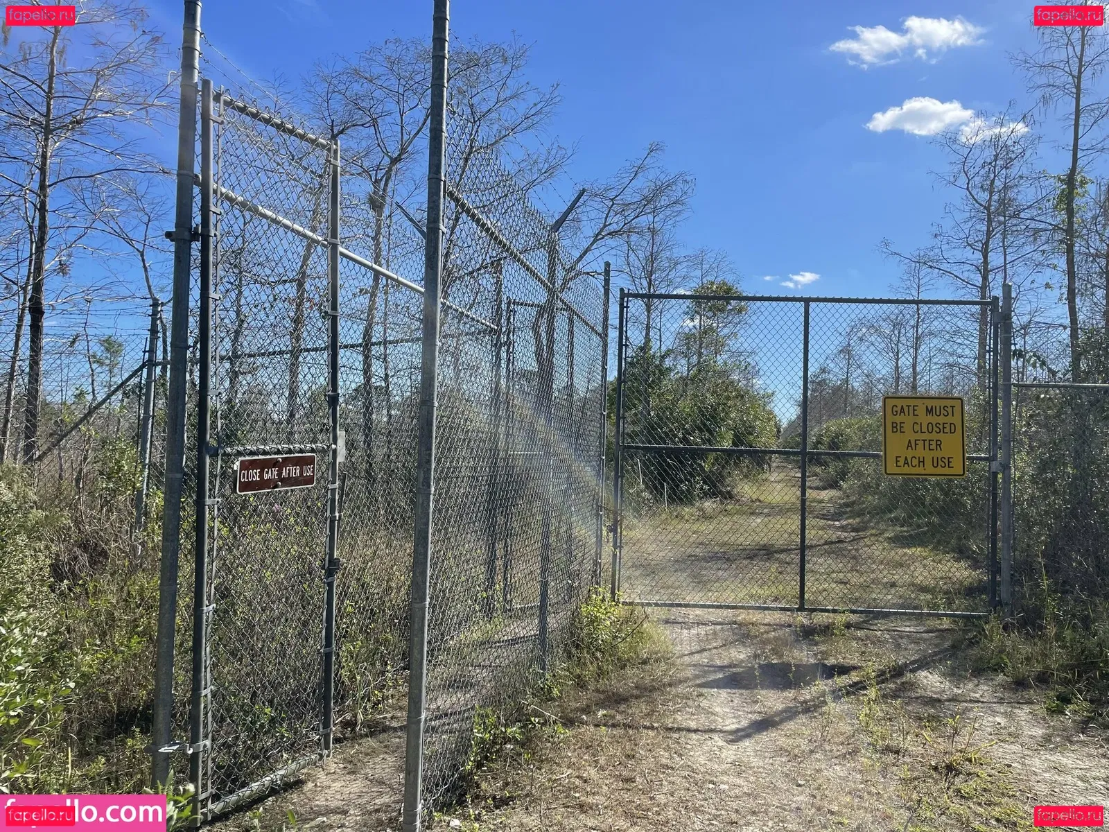 iambigduch Onlyfans Photo Gallery 