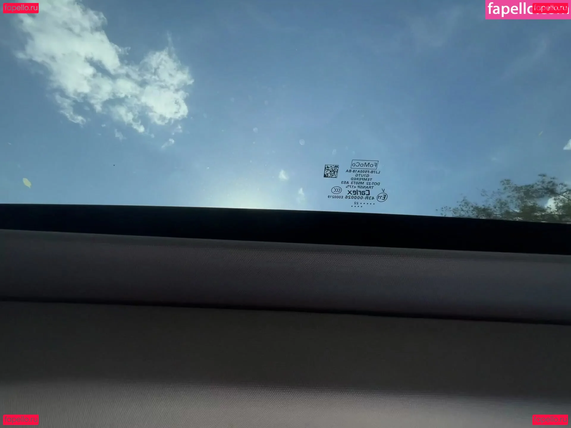 iambigduch Onlyfans Photo Gallery 