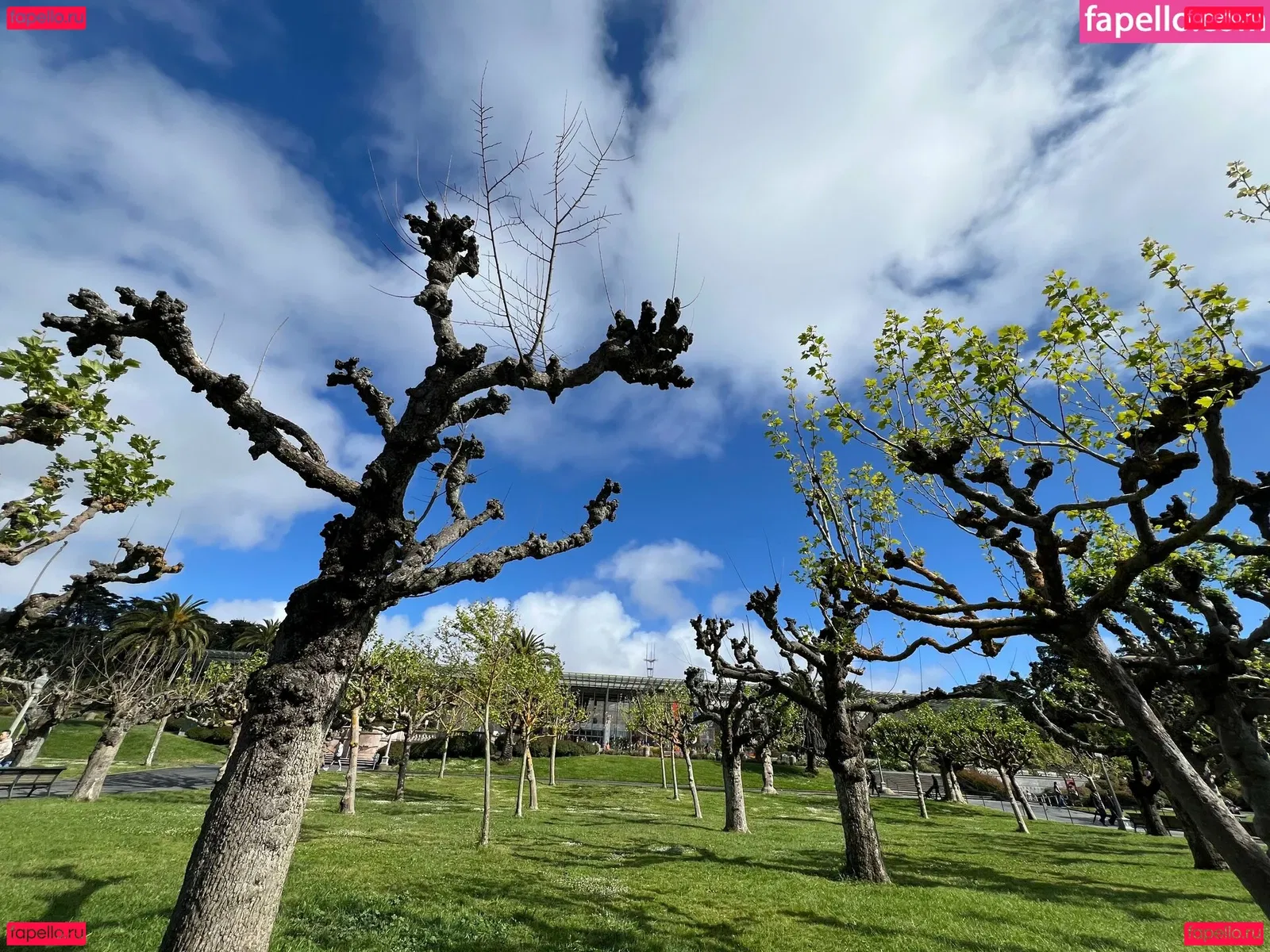 iambigduch Onlyfans Photo Gallery 