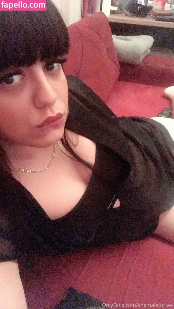 shemaleturkey Onlyfans Photo Gallery 