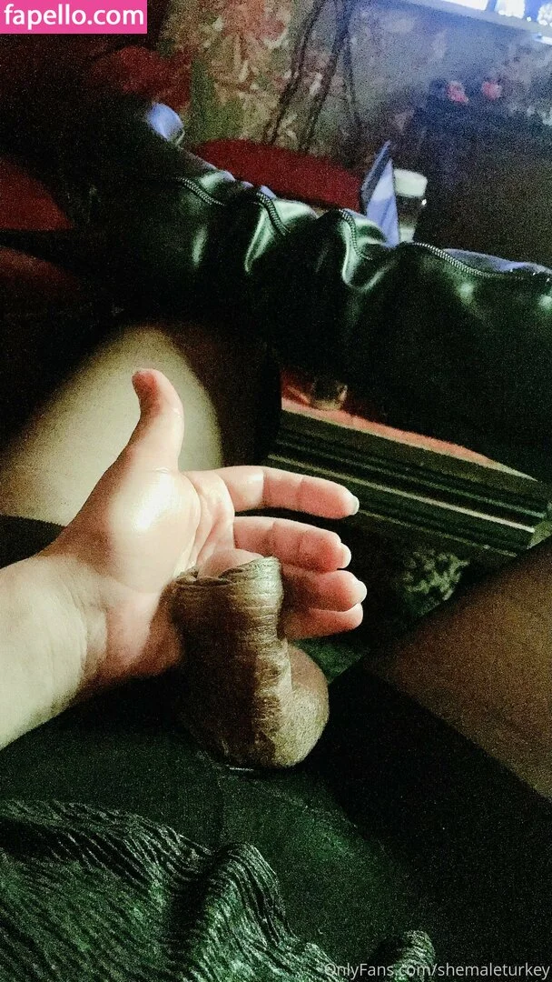 shemaleturkey Onlyfans Photo Gallery 