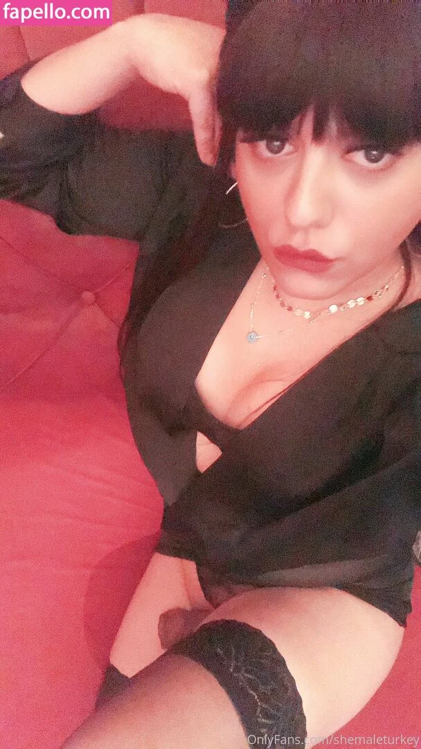 shemaleturkey Onlyfans Photo Gallery 