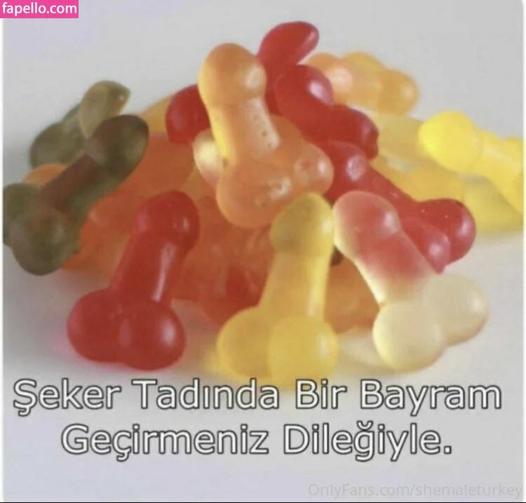 shemaleturkey Onlyfans Photo Gallery 