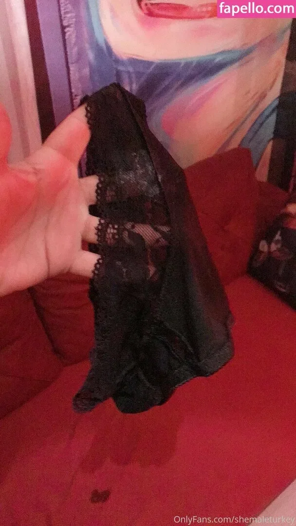 shemaleturkey Onlyfans Photo Gallery 