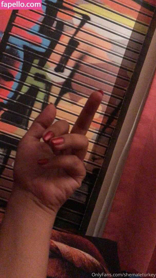 shemaleturkey Onlyfans Photo Gallery 