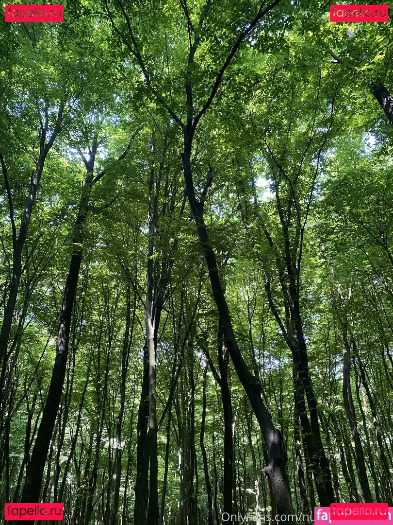 nutscracker8306 Onlyfans Photo Gallery 