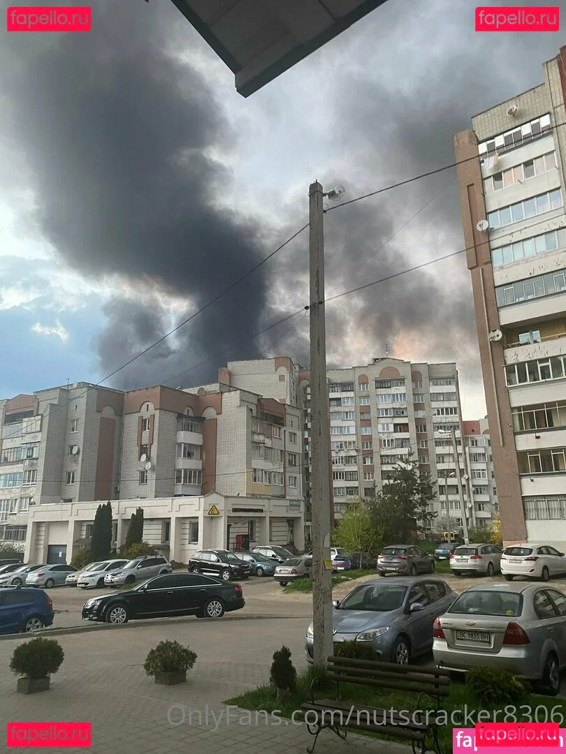 nutscracker8306 Onlyfans Photo Gallery 