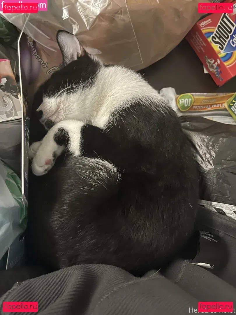 hereliesviolet Onlyfans Photo Gallery 