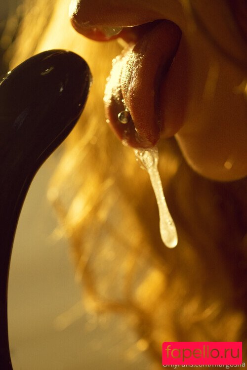 Margosha__22 Onlyfans Photo Gallery 