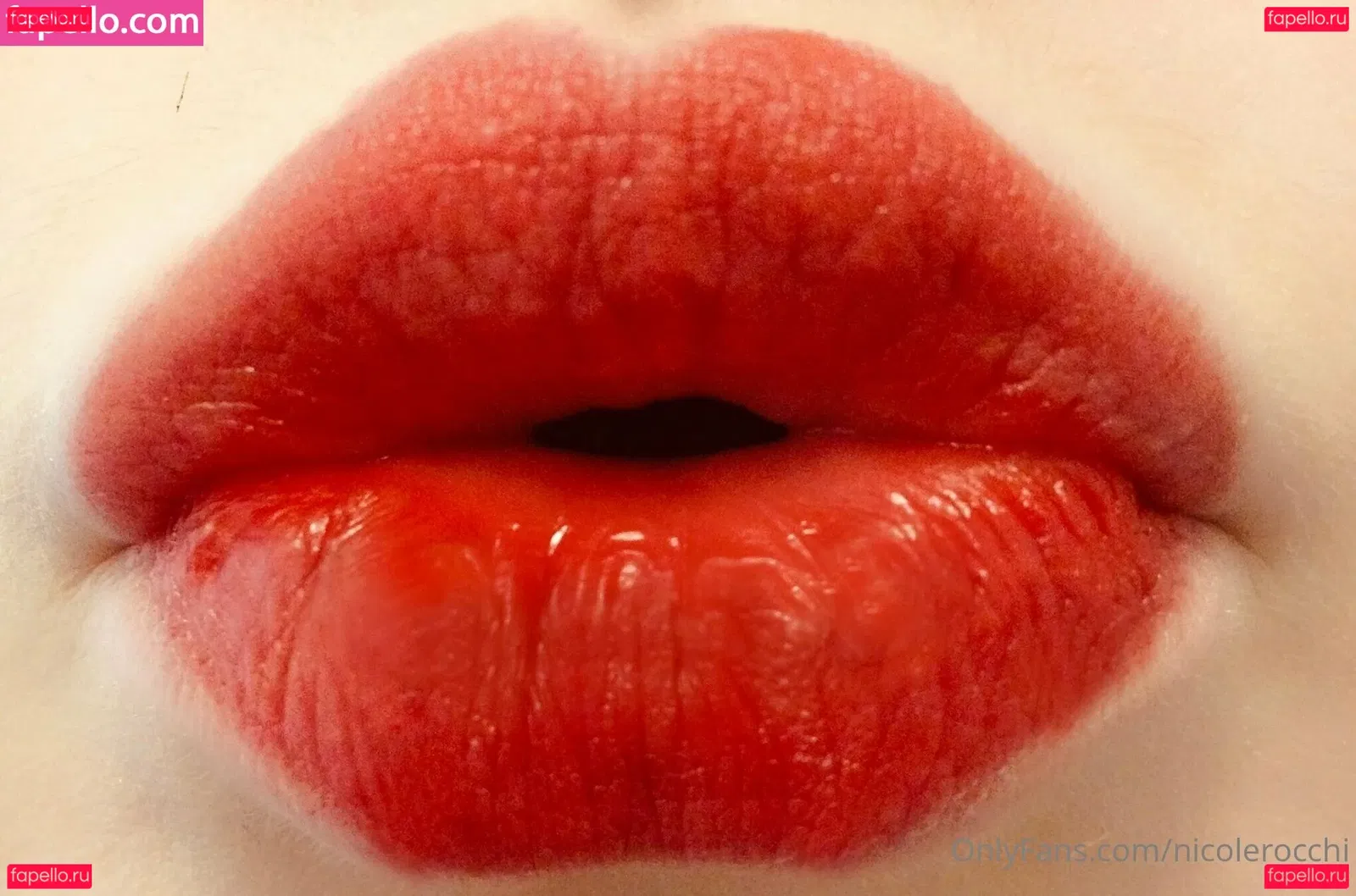 nicolerocchi Onlyfans Photo Gallery 