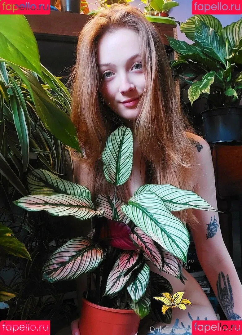 sleepyvegan Onlyfans Photo Gallery 