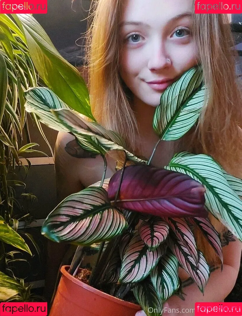 sleepyvegan Onlyfans Photo Gallery 