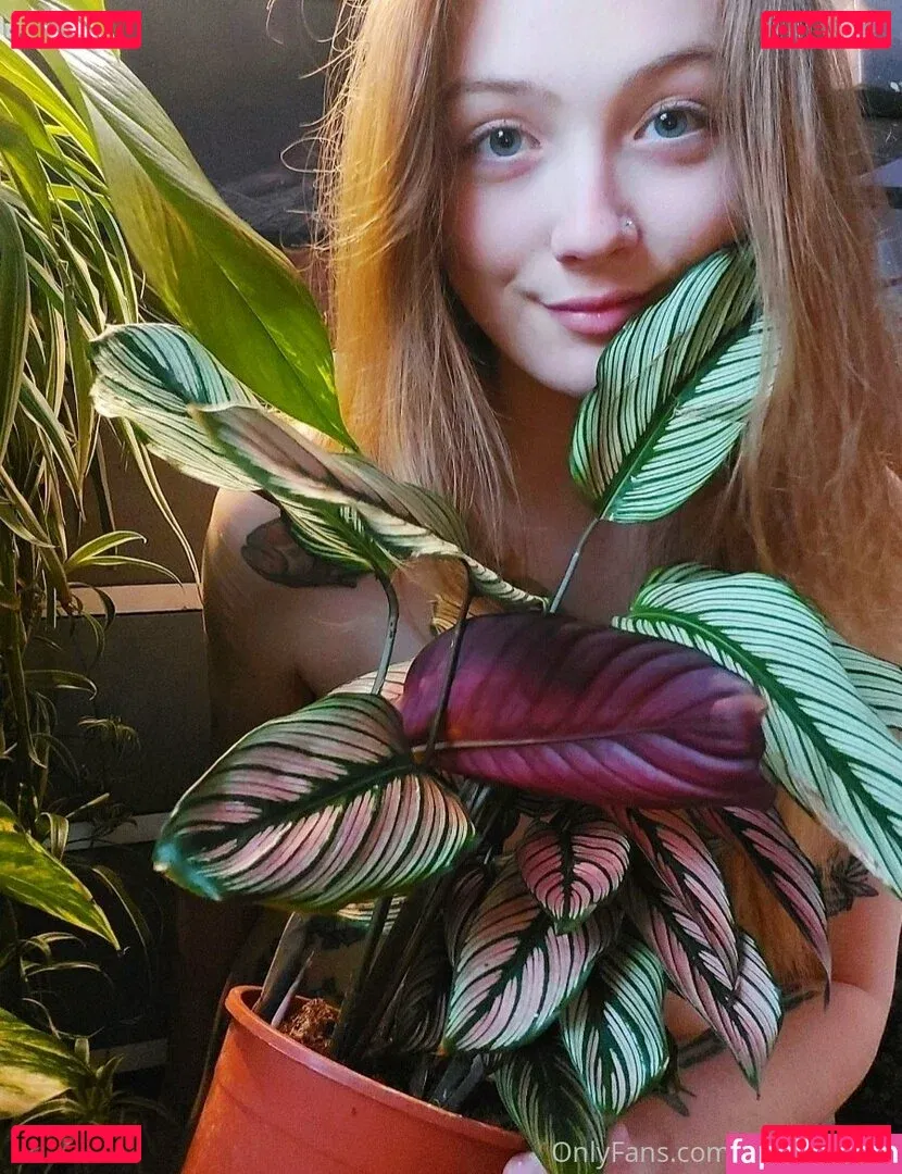 sleepyvegan Onlyfans Photo Gallery 