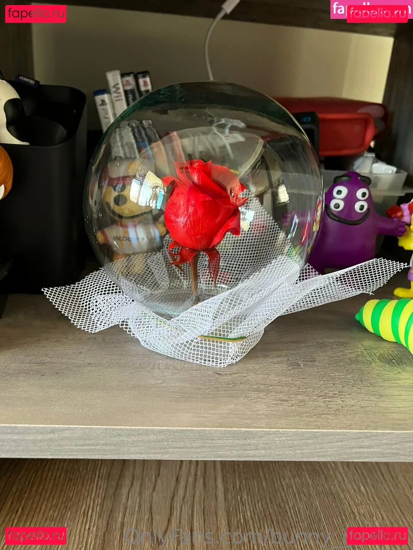 bunny_girl417 Onlyfans Photo Gallery 