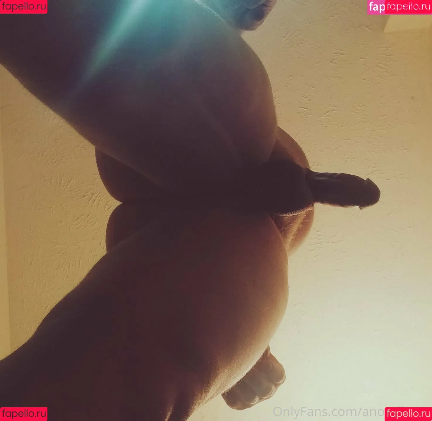 anondb813 Onlyfans Photo Gallery 