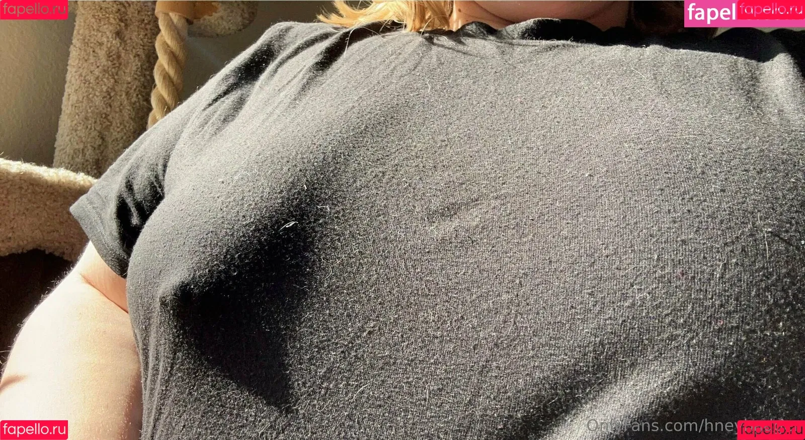 hneybadger Onlyfans Photo Gallery 