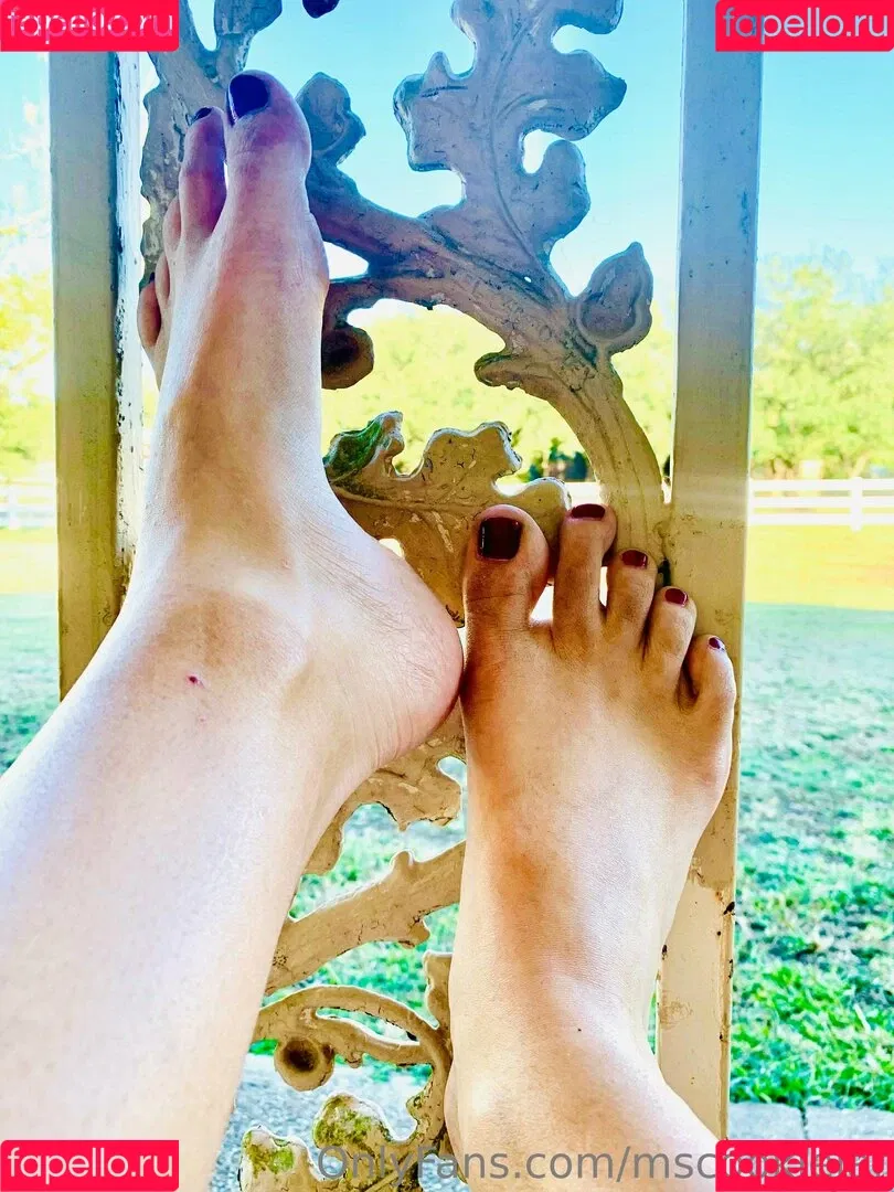 mscookiejar Onlyfans Photo Gallery 