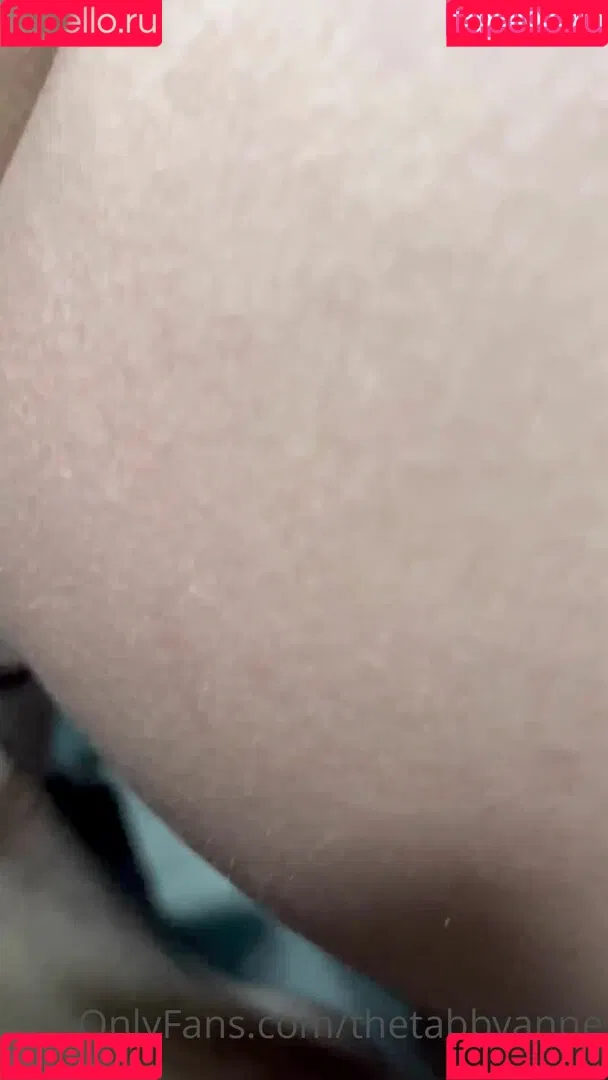 thetabbyanne Onlyfans Photo Gallery 