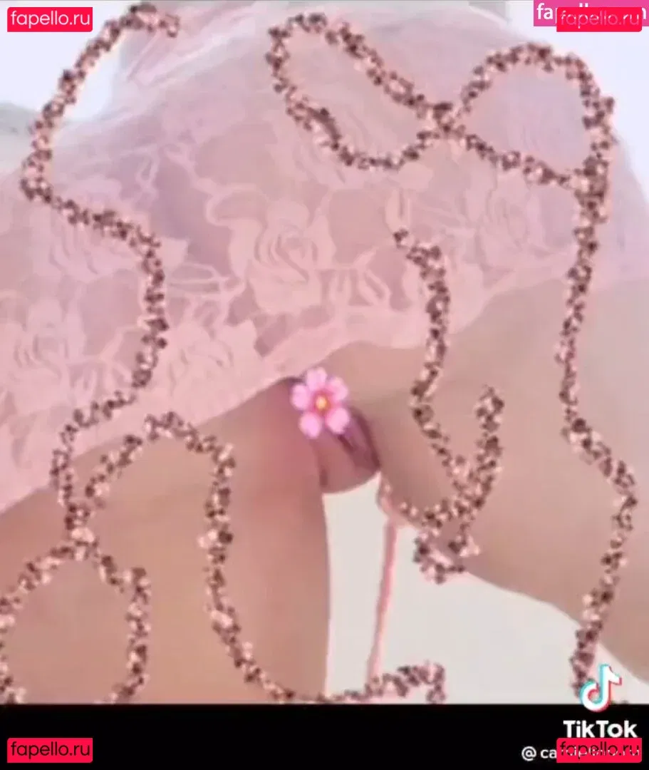 Carniello Onlyfans Photo Gallery 