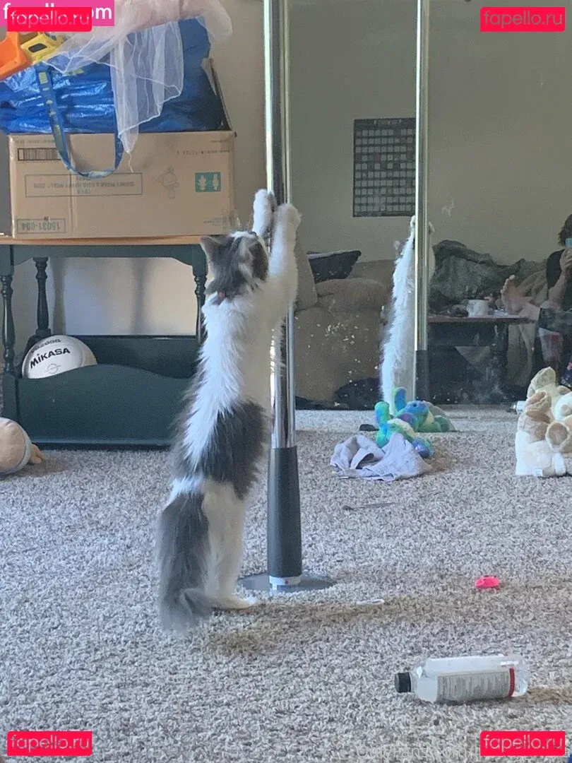 xangel_636 Onlyfans Photo Gallery 